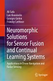 Neuromorphic Solutions for Sensor Fusion and Continual Learning Systems (eBook, PDF)