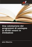 Una valutazione dei programmi di sostegno ai diritti umani in Zimbabwe