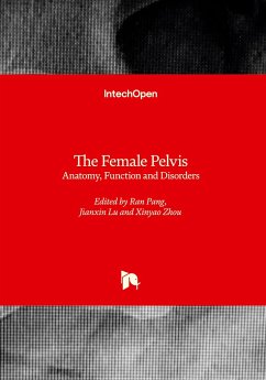 The Female Pelvis