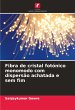 Fibra de cristal fotónico monomodo com... - Bild 1