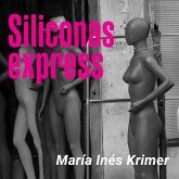 Siliconas express (MP3-Download)