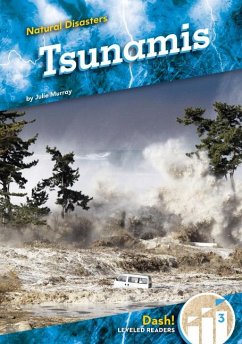 Tsunamis - Murray, Julie