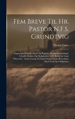 Fem Breve Til Hr. Pastor N.F.S. Grundtvig: Angaaende Fornuft, Aand Og Bogstav, Andagtsforsamlinger Udenfor Kirken Og Muligheden Af Et Beviis for Guds - Faber, Nicolai