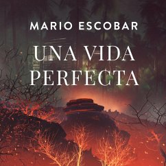 Una vida perfecta (MP3-Download) Cover Una vida perfecta (MP3-Download)