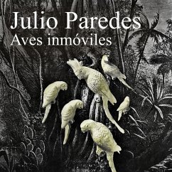 Aves inmóviles (MP3-Download) - Paredes, Julio