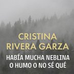 Había mucha neblina o humo o no sé qué (MP3-Download)