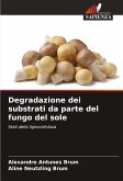 Degradazione dei substrati da parte del fungo del sole