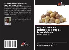 Degradazione dei substrati da parte del fungo del sole - Antunes Brum, Alexandre;Neutzling Brum, Aline