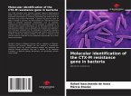 Molecular identification of the CTX-M resistance gene in bacteria