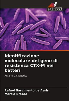 Identificazione molecolare del gene di resistenza CTX-M nei batteri - Nascimento de Assis, Rafael;Brazão, Márcia