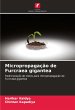 Micropropagação de Furcraea gigantea - Bild 1