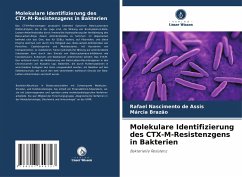 Molekulare Identifizierung des CTX-M-Resistenzgens in Bakterien - Nascimento de Assis, Rafael;Brazão, Márcia