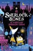 Sherlock Bones ve Kaybolan Sihirbazin Gizemi