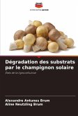 Dégradation des substrats par le champignon solaire