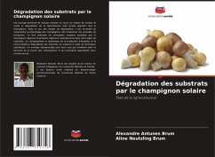 Dégradation des substrats par le champignon solaire - Antunes Brum, Alexandre;Neutzling Brum, Aline