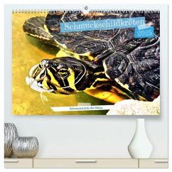 Schmuckschildkröten - Schmuckstücke der Natur (hochwertiger Premium Wandkalender 2025 DIN A2 quer), Kunstdruck in Hochglanz - Calvendo;Löwis of Menar, Henning von