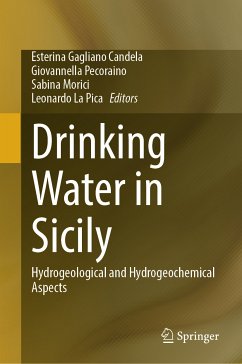 Drinking Water in Sicily (eBook, PDF)