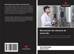 Biorreactor de columna de lecho fijo - Machado, José; Ferrer, José
