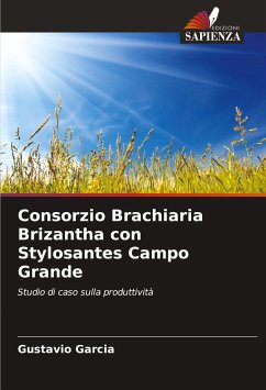 Consorzio Brachiaria Brizantha con Stylosantes Campo Grande - Garcia, Gustavio