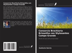 Consorcio Brachiaria Brizantha con Stylosantes Campo Grande - Garcia, Gustavio