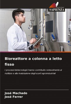 Bioreattore a colonna a letto fisso - Machado, José; Ferrer, José