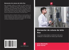 Bioreactor de coluna de leito fixo - Machado, José; Ferrer, José