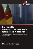 La corretta amministrazione della giustizia in Camerun