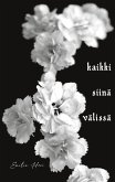 Kaikki siinä välissä (eBook, ePUB)