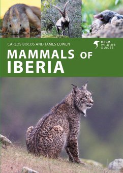 Mammals of Iberia - Bocos Gonzalez, Carlos; Lowen, James