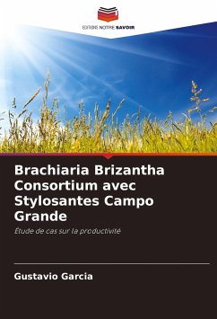 Brachiaria Brizantha Consortium avec Stylosantes Campo Grande - Garcia, Gustavio