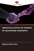 Aplicación práctica de modelos de aprendizaje automático