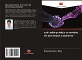 Aplicación práctica de modelos de aprendizaje automático