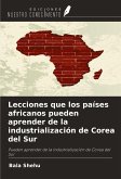 Lecciones que los países africanos pueden aprender de la industrialización de Corea del Sur