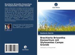 Brachiaria Brizantha Konsortium mit Stylosantes Campo Grande - Garcia, Gustavio