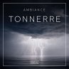 Ambiance - Tonnerre (MP3-Download) - Bild 1