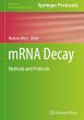 mRNA Decay - Bild 1