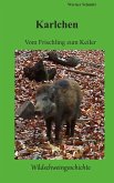 Karlchen, vom Frischling zum Keiler Karlchen, vom Frischling zum Keiler