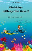 Die kleine mittelgroße Hexe 2