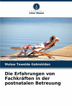 Die Erfahrungen von Fachkräften in der postnatalen Betreuung - Gebrekidan, Mulaw Tewelde