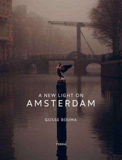 Cover A New Light on Amsterdam