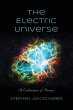 The Electric Universe - Bild 1