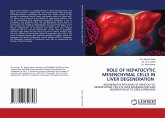 ROLE OF HEPATOCYTIC MESENCHYMAL CELLS IN LIVER DEGENERATION