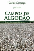 Campos De Algodão