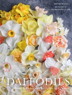 Daffodils - Slade, Naomi
