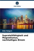 Supraleitfähigkeit und Magnetismus, nachhaltiges Binom