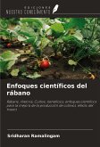 Enfoques científicos del rábano