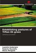 Establishing pastures of Tifton 85 grass - Bild 1