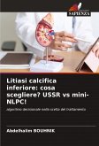 Litiasi calcifica inferiore: cosa scegliere? USSR vs mini-NLPC!