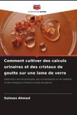 Comment cultiver des calculs urinaires et des cristaux de goutte sur une lame de verre