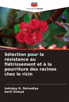 Sélection pour la résistance au flétrissement et à la pourriture des racines chez le ricin - Delvadiya, Indrajay R.;Ginoya, Aarti